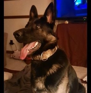 Meet your Posher, Angel